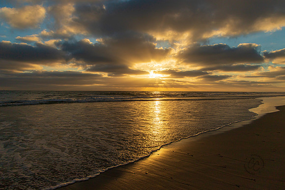 California Sunset Del Mar Beach August 2020-7350