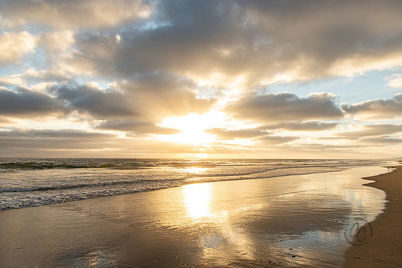 California Sunset Del Mar Beach August 2020-7352