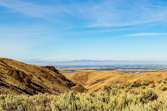 Owyhee Mountain View ID August 2020-7439