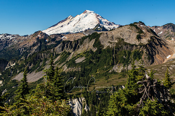 Mt. Baker from Artist Point Sept 2020-8148