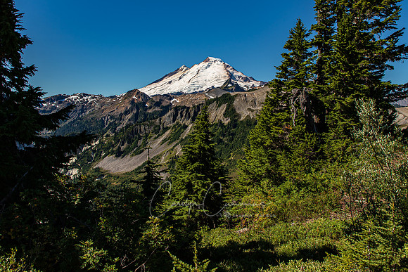 Mt. Baker from Artist Point Sept 2020-8151