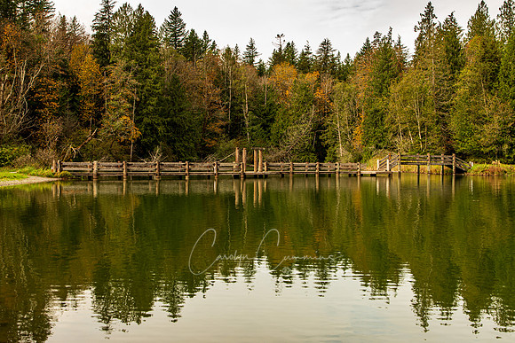 Silver Lake Oct 2020-9787