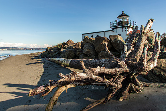Point No Point Lighthouse Oct 2020-0196