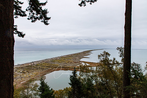 Dungeness Spit - Sequim WA Oct 2020-0567