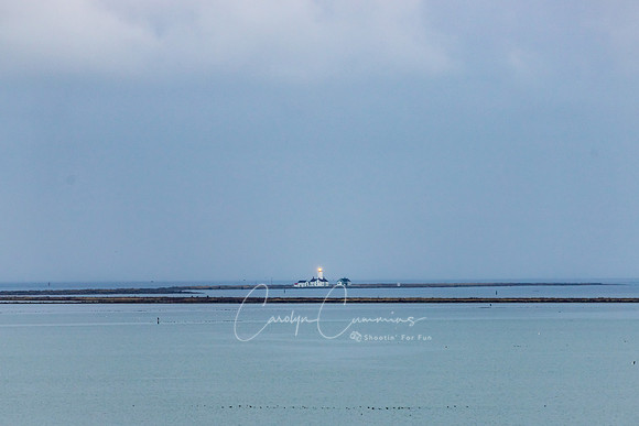 Dungeness Spit - Sequim WA Oct 2020-0574