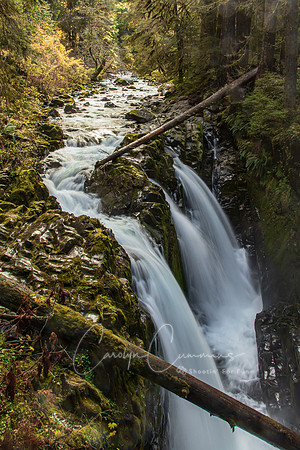 SolDuc Falls Olympic Peninsula Oct 2020-0788