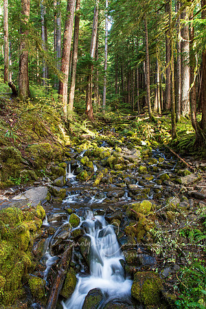 SolDuc Falls Olympic Peninsula Oct 2020-0813