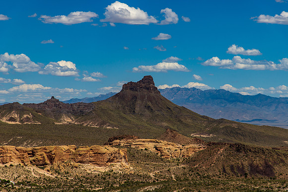 Oatman AZ April 2024-0782