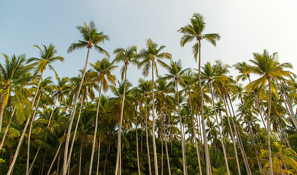 Costa Rica March 2024-0258