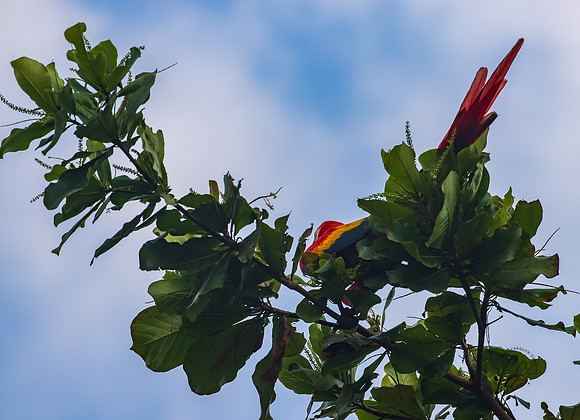 Costa Rica March 2024-9972