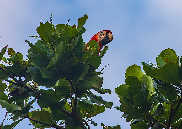 Costa Rica March 2024-9975