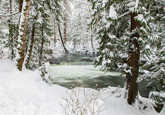 Whatcom Falls park Dec 2021-7511