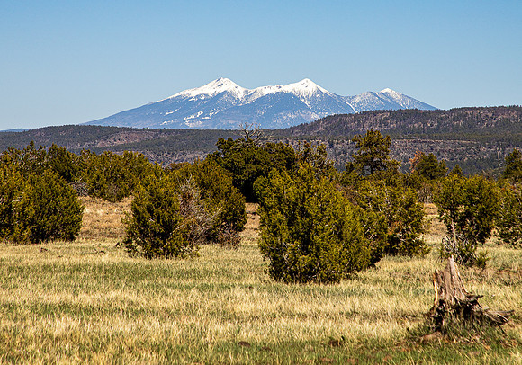 San Francisco Peaks April 2024-0575