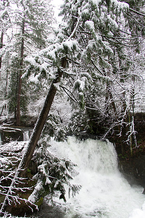 Whatcom Falls  Dec 2016-7086