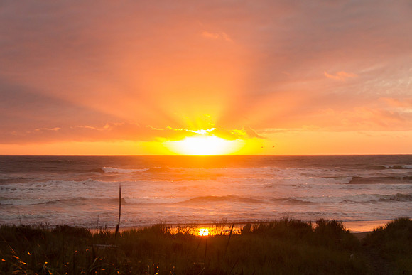 Westport, WA Sept 2016-5254