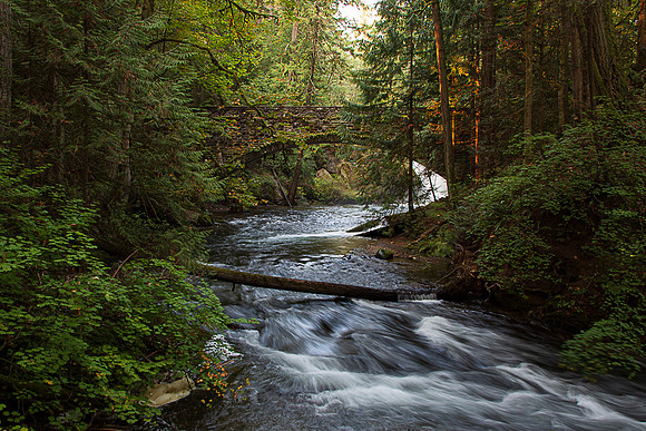 Whatcom Falls Park 2020-9290