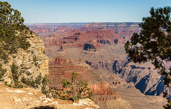Grand Canyon South Rim Trail June 2024-1493
