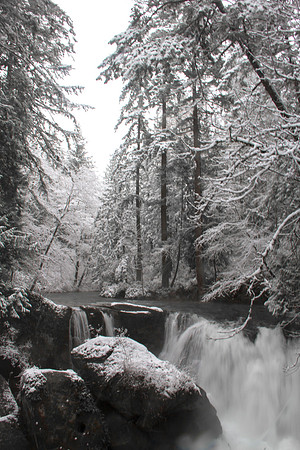 Whatcom Falls  Dec 2016-7111