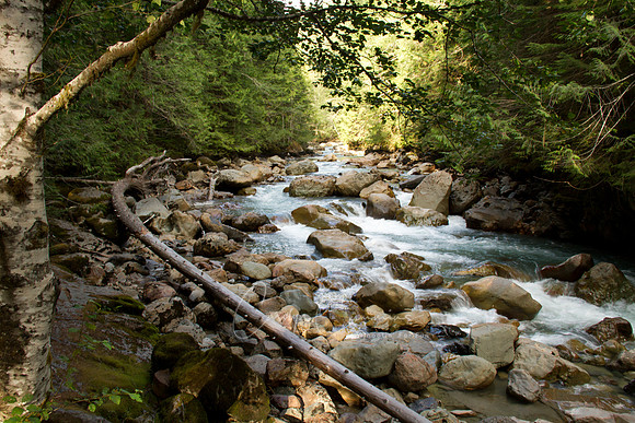 Nooksack Falls-8609