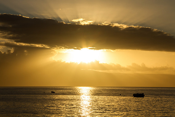 Maui Sunset 1114-9972