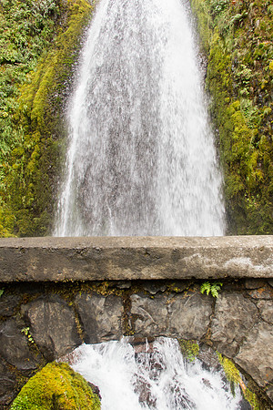 Wahkeena Falls Sept 2016 -4844