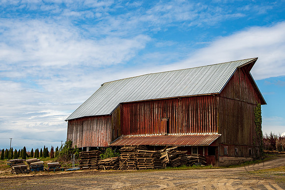 Oregon Barn April 2022-9419