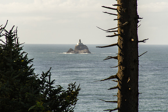 Ecola State Park, OR Sept 2016-5135