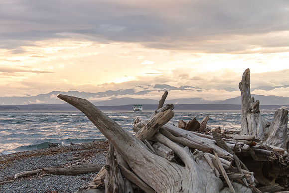 Fort Casey, WA Sept 2016-4019