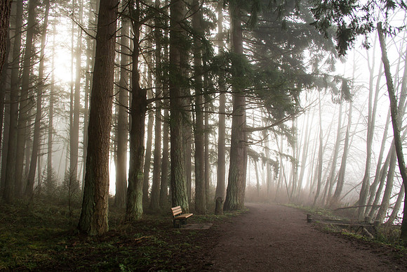 Lake Padden Jan 2014-0898
