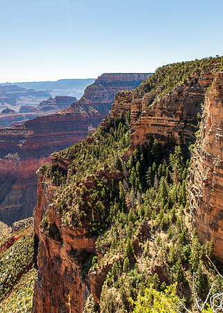 Grand Canyon South Rim Trail June 2024-1504