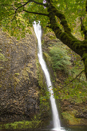 Horsetail Falls, OR Sept 2016-4925