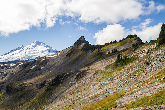 Mt. Baker-8193
