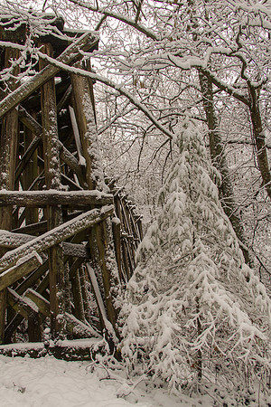 Whatcom Falls  Dec 2016-7150