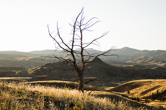 Painted Hills, Oregon-7673