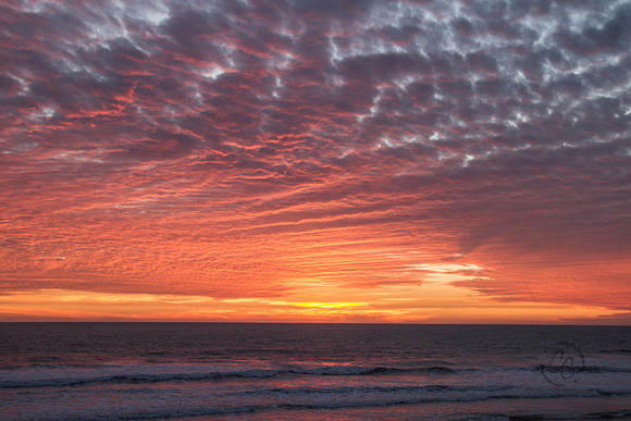 Oceanside CA sunset-6363