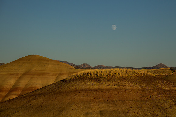 Painted Hills, Oregon-7671
