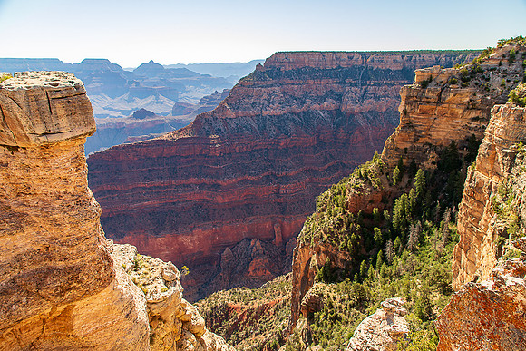 Grand Canyon South Rim Trail June 2024-1467