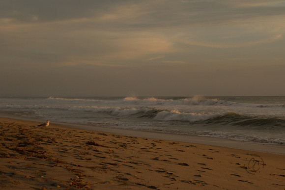 Carlsbad Beach Sunset-6454