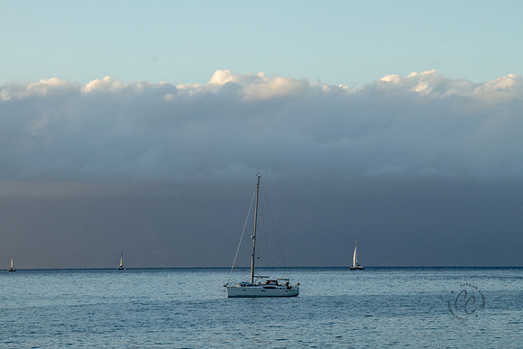 Maui Sailboat-9971